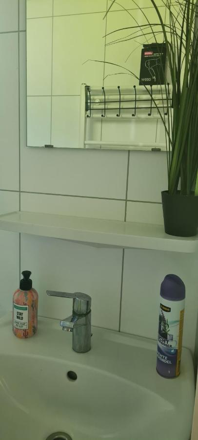 Dronrijp Gezellige Chalet Met Grote Privetuin. מראה חיצוני תמונה